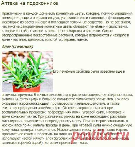 Аптека на подоконнике