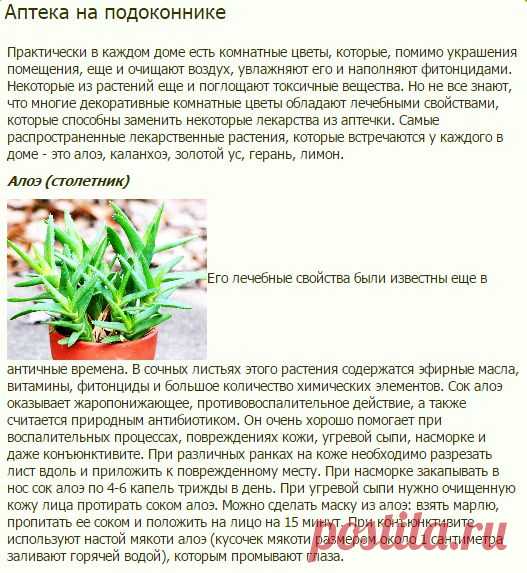 Аптека на подоконнике