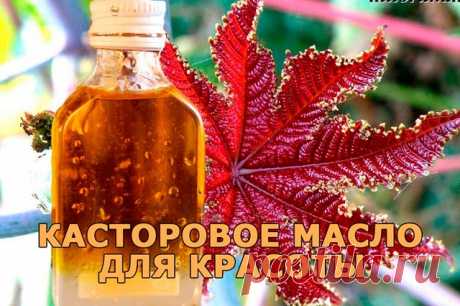 КАСТОРОВОЕ МАСЛО ДЛЯ КРАСОТЫ 
-------------------------------------------------------------------------------------------------
1. Налейте в ладони немного масла, разотрите и смажьте касторовым маслом волосы. Такой способ достаточно применять один раз в неделю, и уже через месяц вы будете приятно удивлены тем, как шикарно выглядят ваши волосы. 

2. Маска для волос с касторовым маслом и кефиром. Чашку с кефиром поставьте в тарелку с горячей водой, и когда он станет теплым, ...