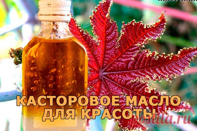 КАСТОРОВОЕ МАСЛО ДЛЯ КРАСОТЫ 
-------------------------------------------------------------------------------------------------
1. Налейте в ладони немного масла, разотрите и смажьте касторовым маслом волосы. Такой способ достаточно применять один раз в неделю, и уже через месяц вы будете приятно удивлены тем, как шикарно выглядят ваши волосы. 

2. Маска для волос с касторовым маслом и кефиром. Чашку с кефиром поставьте в тарелку с горячей водой, и когда он станет теплым, ...