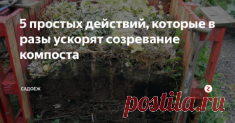 5 простых действий, которые в разы ускорят созревание компоста Полезное удобрение будет готово уже к следующему посадочному сезону