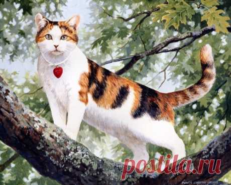 Художник-анималист Persis Clayton Weirs (98 работ) » Картины, художники, фотографы на Nevsepic