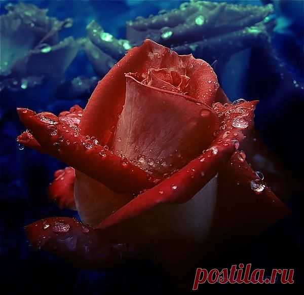 Фотографии на стене сообщества | 32 837 фотографий | ВКонтакте
