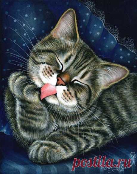 (95) Pinterest