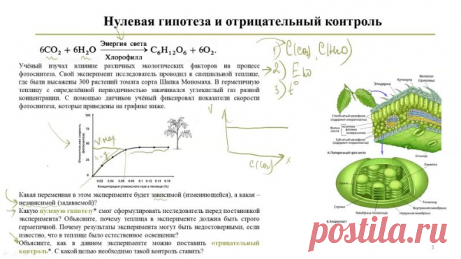 Отрицательный контрольный образец