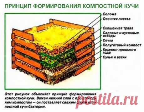 Принцип формирования компостной кучи
