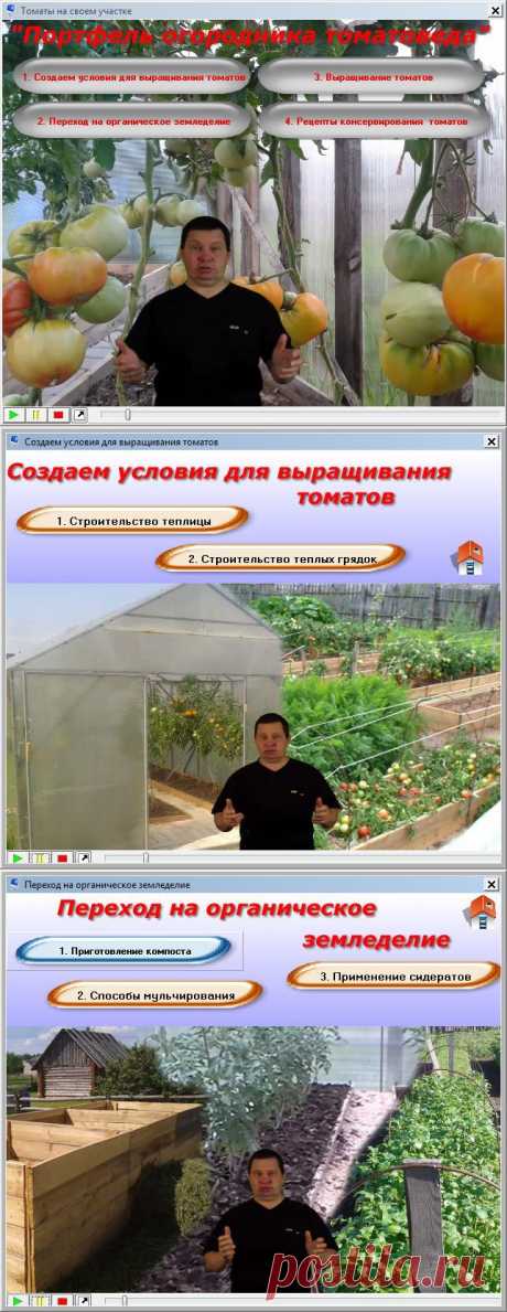 Видеокурс от Валерия Медведева&quot;Портфель огородника томатоведа&quot;