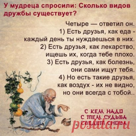 Дружба, как бриллиант: встречается редко, стоит дорого, а подделок — очень много.