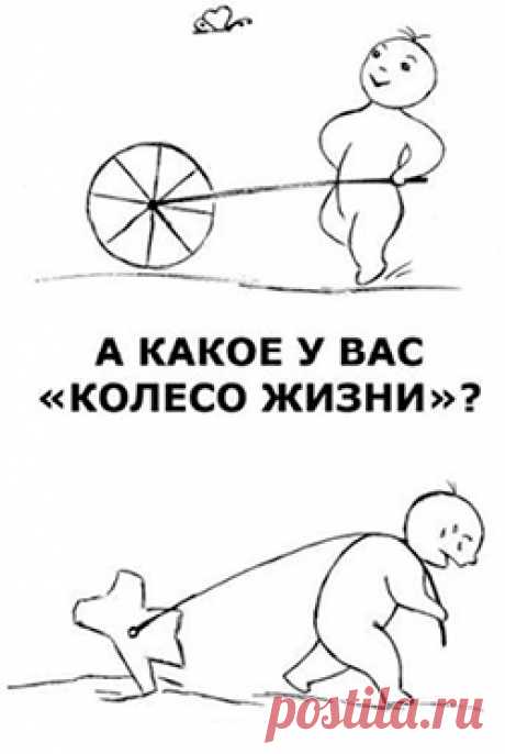 Колесо жизни: как составить