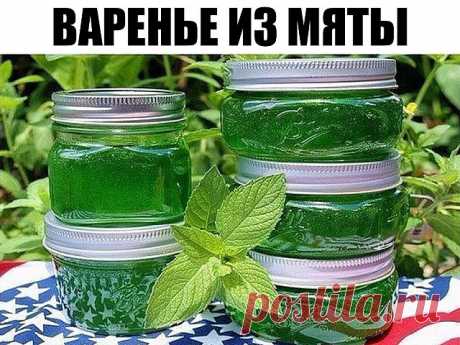 Сироп из мяты.