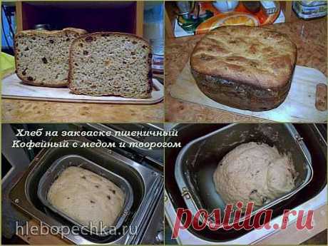 Пшеничный хлеб с творогом, медом и немного кофе - ХЛЕБОПЕЧКА.РУ - рецепты, отзывы, инструкции