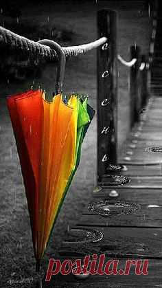 Regenbogen                                                                                                                                                                                 Mehr