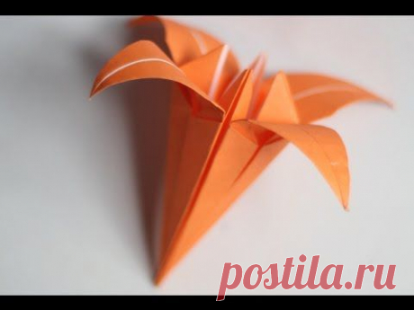 Оригами  ирис (видео обучение) -  бесплатно