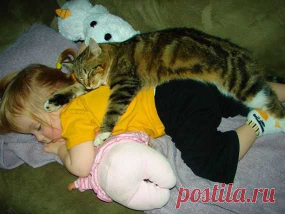 Позитивчик из инета