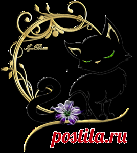 2016-0712-ORNEMENT-CHAT.png Фото, автор olga.schefer2011 на Яндекс.Фотках