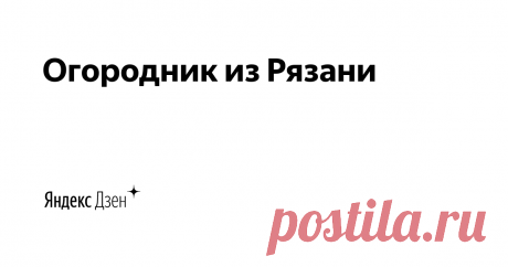 Огородник из Рязани | Яндекс Дзен Всем привет! Я Ольга Фомичева - огородник из Рязани. Расскажу как выращиваю тонны овощей для души и заработка. Огородом занимаюсь на протяжении всей жизни. Закончила РГАТУ  по специальности "Ученый агроном".