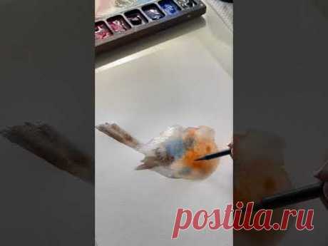 Robin bird watercolor painting process by CanotStopPainting