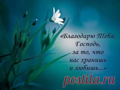 Никогда не жалуйся — у меня этого нет, у меня того нет! У тебя всё есть! Всё. Нельзя Бога гневить. Каждое утро встаешь — первое слово скажи благодарности. А кто говорит — у меня нету, так у него и не будет ничего.

Тинатин Мжаванадзе