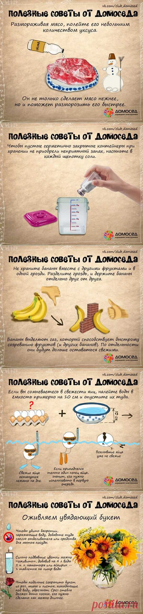 Очень полезные советы!.