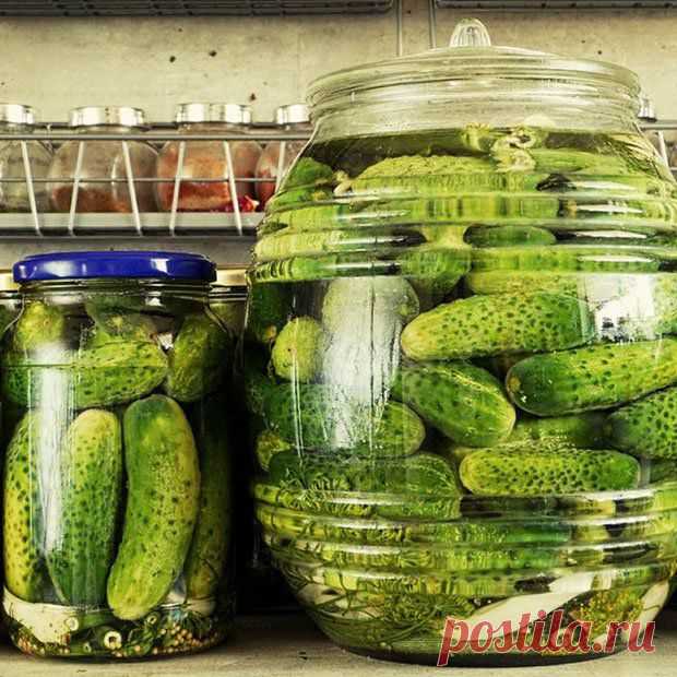 10 идей как использовать маринад из-под огурцов | Вкусный год с Анной Людковской
