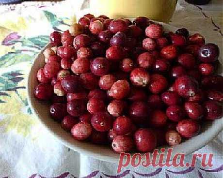 Очищение почек от камней