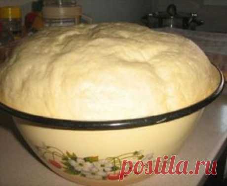 Тесто для пирогов, пирожков, пиццы
