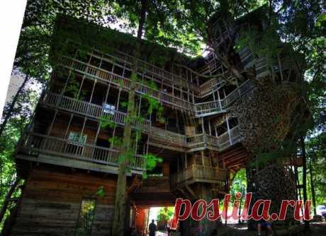 ФотоТелеграф » Самый большой в мире дом на дереве