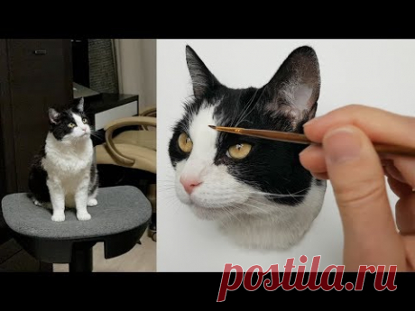 Master class: How To Draw A Cat