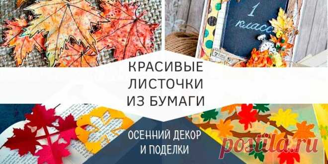 Осенние листья из бумаги: шаблоны и трафареты для вырезания