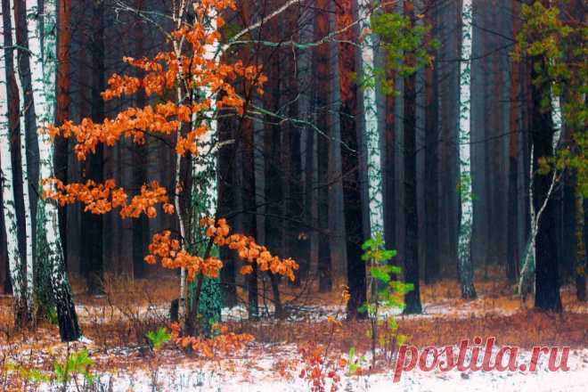 ФОТОМАСТЕРСКАЯ ПРИРОДЫ
Валентина Кобцева