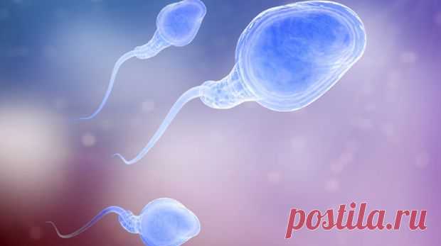 Father's diet affects RNA of his sperm: study | Deccan Chronicle