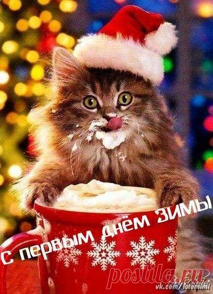 С первым днем зимы! 1 декабря! С зимой!
 Красивые картинки и открытки  vk.com/fotomimi