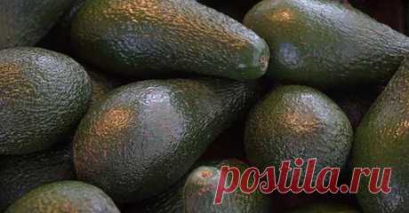 (6) Facebook