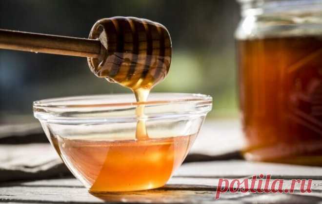 Мед при язве желудка — какой полезен, лечение, рецепты с алоэ и прополисом | Журнал 