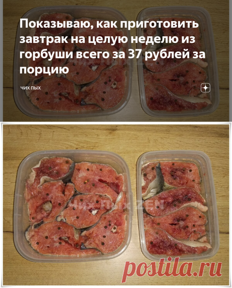 Показываю, как приготовить завтрак на целую неделю из горбуши всего за 37 рублей за порцию | Чих Пых | Яндекс Дзен
