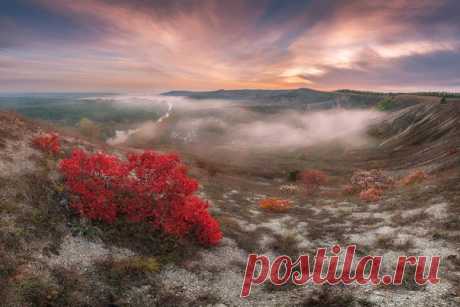 Заповедник Меловая флора, Донецкая область. Автор фото — Dmytro Balkhovitin: