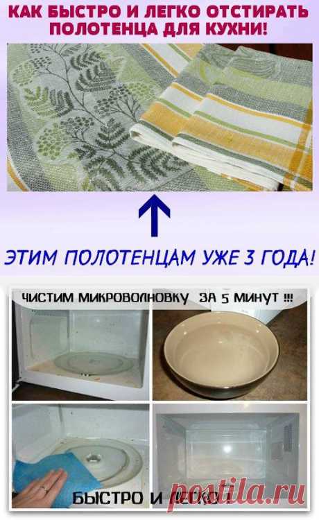 полезные советы