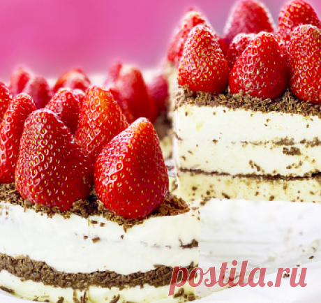 Самый вкусный торт без выпечки из простых продуктов / Торты / TVCook: пошаговые рецепты с фото