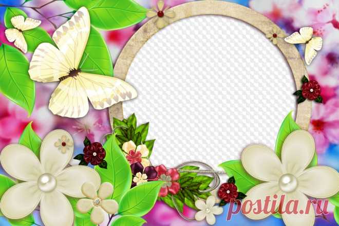 Mariposas y flores, marco para photoshop. Marco PNG transparente, plantilla de marco de fotos en capas PSD, descarga.