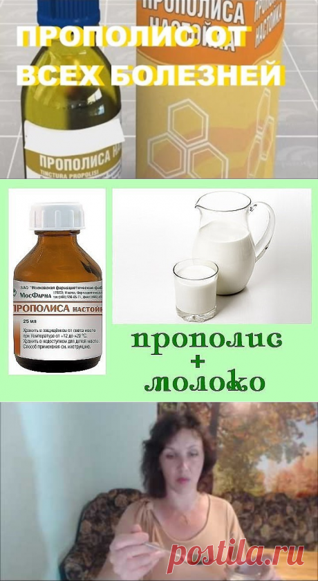 Лечебные свойства прополиса для оздоровления организма.