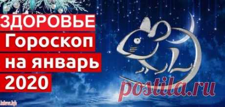 Гороскоп здоровья на январь 2020 года для всех знаков Зодиака, что ждать | Izdorov Январь 2020 года: каким он будет, что говорят звезды о здоровье? С самого начала 2020 года все знаки зодиака почувствуют прилив деятельной энергии. Овны - здоровье в январе 2020 года Январь сулит пред