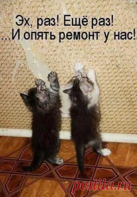 И опять ремонт у нас...