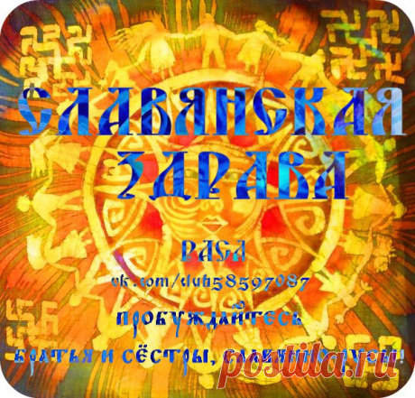 Новости