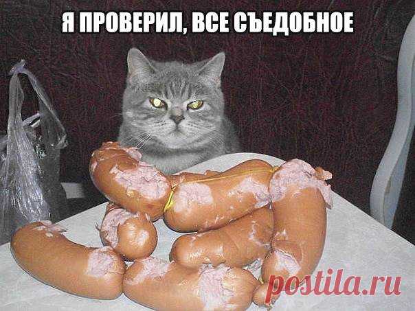 Зачетные, смешные и позитивные картинки с фото приколами из нашей жизни с надписями ( 9 фото ) | Краше Всех