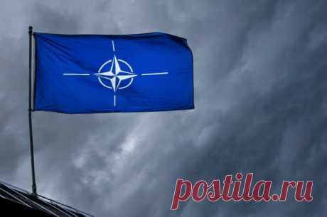 Подполковник Квятковски: военная помощь Киеву привела к расколу в НАТО. Большинство государств не верит в необходимость продолжения боевых действий.