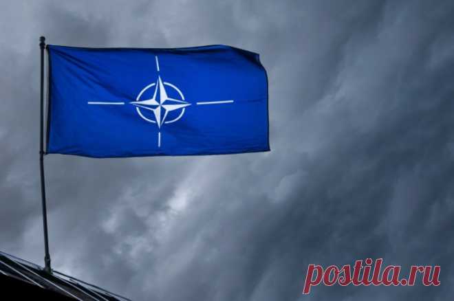 Подполковник Квятковски: военная помощь Киеву привела к расколу в НАТО. Большинство государств не верит в необходимость продолжения боевых действий.
