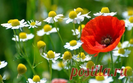 ᴼᴿᴵᴳᴵᴺᴬᴸ   SМАЙЛИКИ   (ړײ)
ღМилана ღ