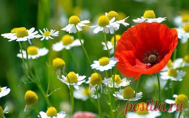 ᴼᴿᴵᴳᴵᴺᴬᴸ   SМАЙЛИКИ   (ړײ)
ღМилана ღ