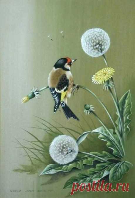 (8) Pinterest