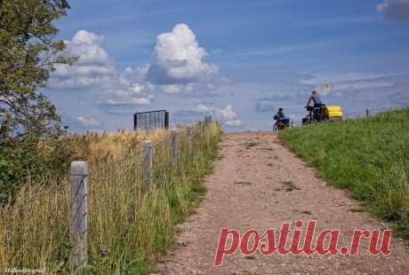 Biking in the Biesbosch